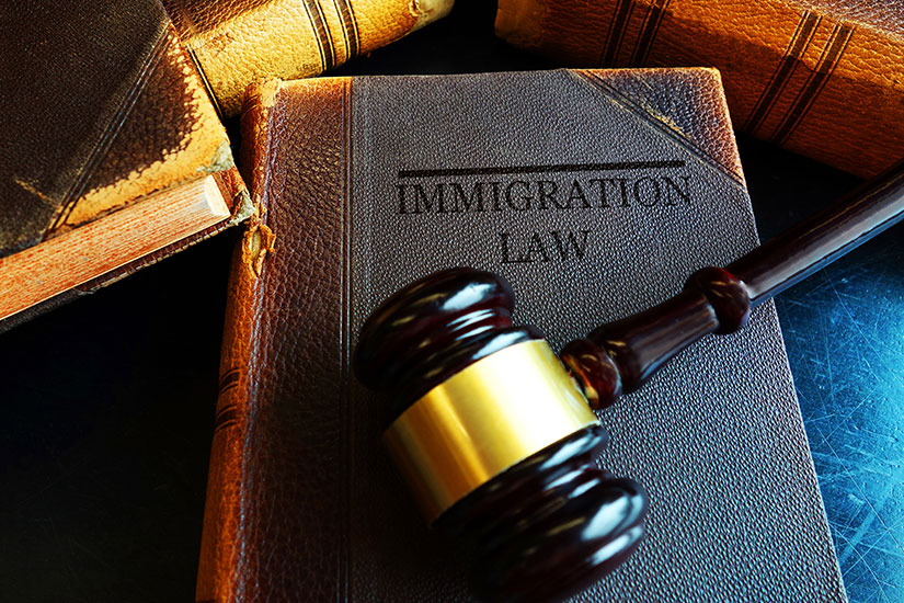 Immigration Law